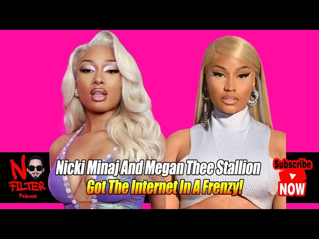 Nicki Minaj And Megan Thee Stallion Got The Internet In A Frenzy!