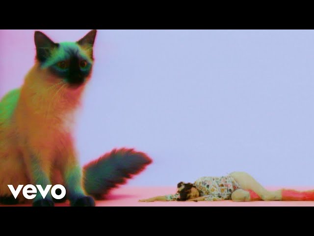 Benee – Animal (official Video)