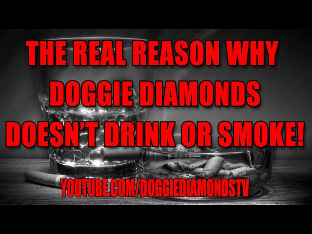 The Real Reason Why Doggie Diamonds Doesn’t Drink Or Smoke (motivational Purposes)