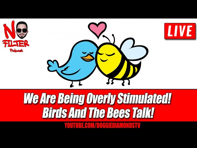 We Are Being Overly Stimulated! Birds And The Bees Talk!