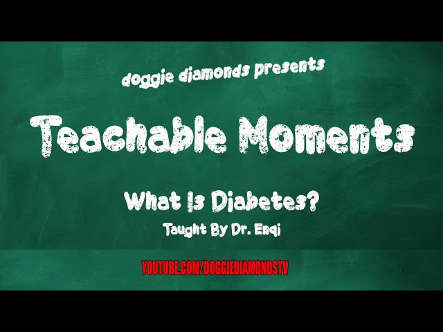 What Is Diabetes? – Taught By Dr. Enqi | Teachable Moments